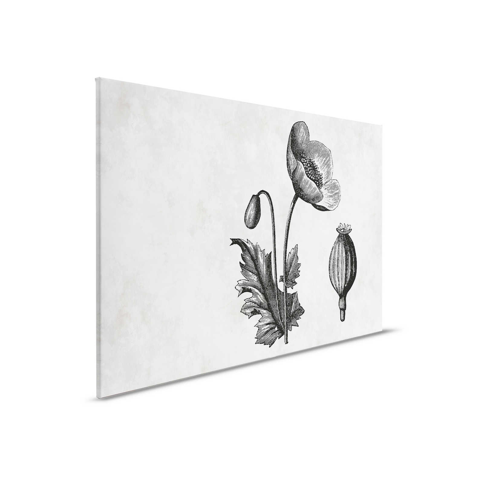         Black and White Canvas Poppy Botanical Style - 0.90 m x 0.60 m
    