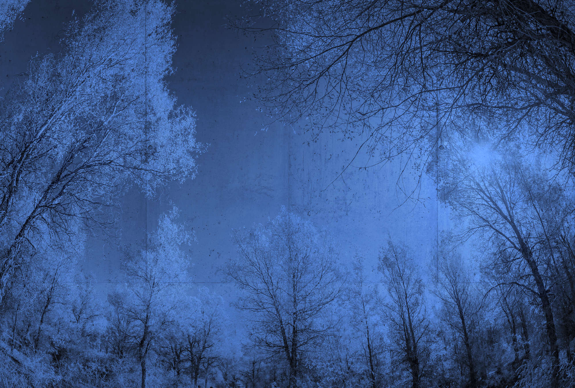             Papier peint panoramique imitation béton & paysage forestier - bleu, noir
        