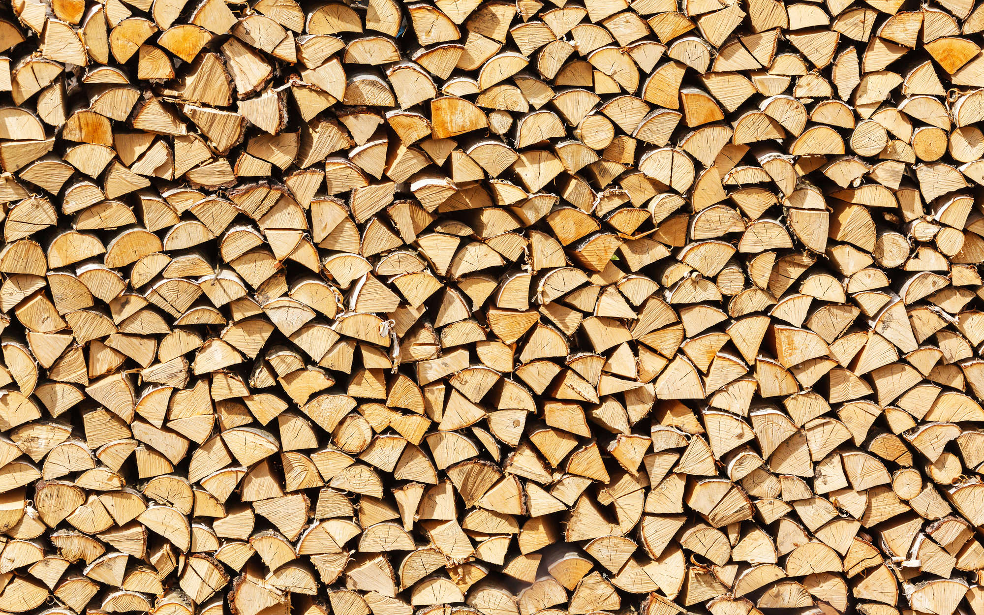             Photo wallpaper stacked firewood, firewood - Textured non-woven
        