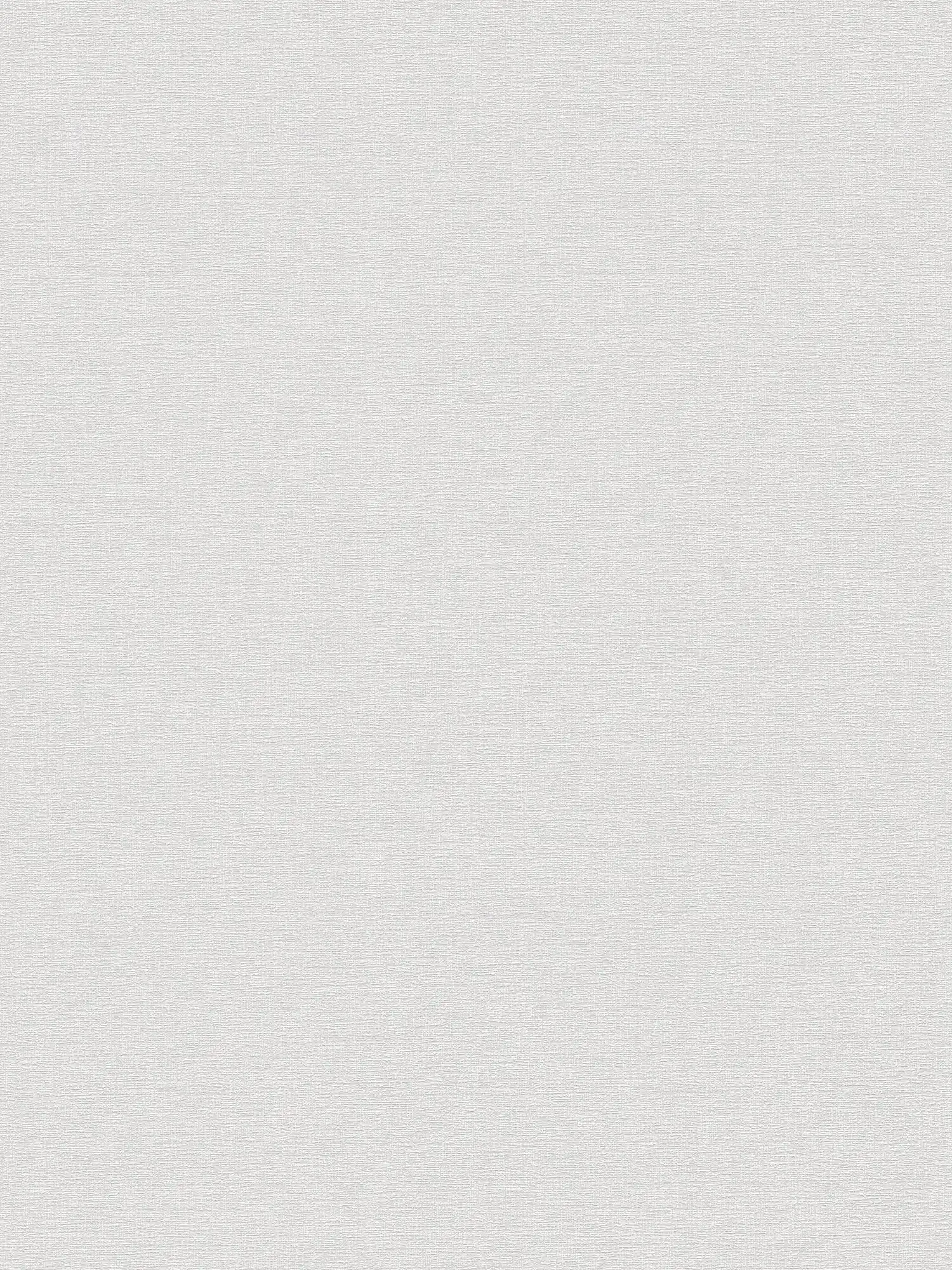 Single-coloured plain wallpaper soft shade - grey

