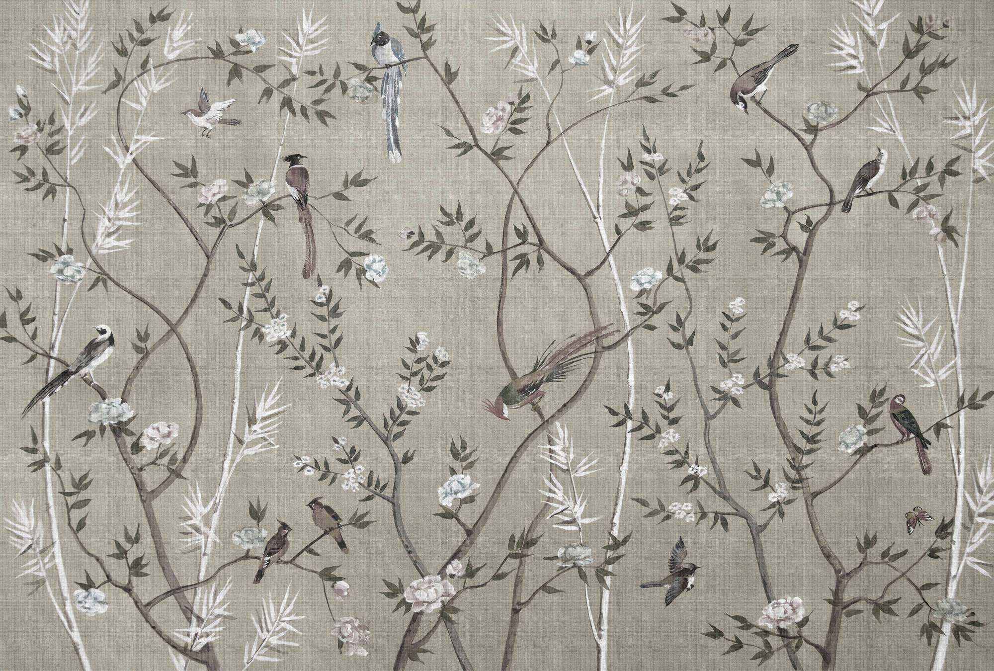             Tea Room 2 - Papier peint panoramique Oiseaux & fleurs Design in Greige
        