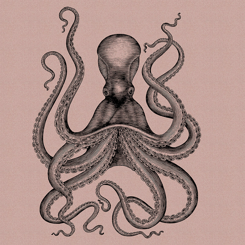 Jules 1 - Digital behang met octopus in tekening & retro stijl in kartonnen structuur - Roze, Zwart | Strukturen vlieseline
