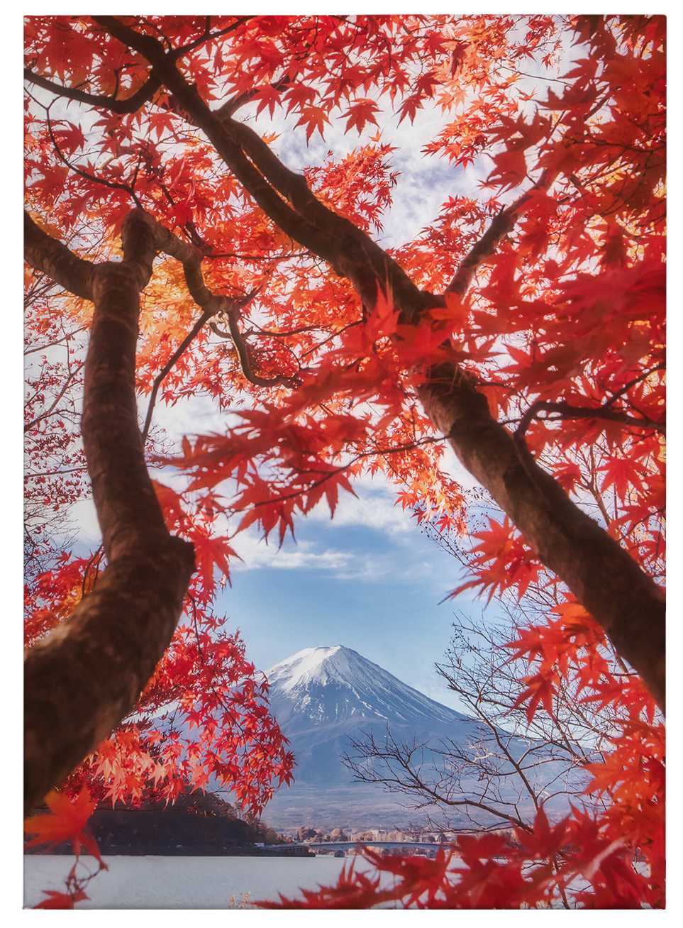             Quadro su tela Acero giapponese in primavera con Fuji - 0,50 m x 0,70 m
        