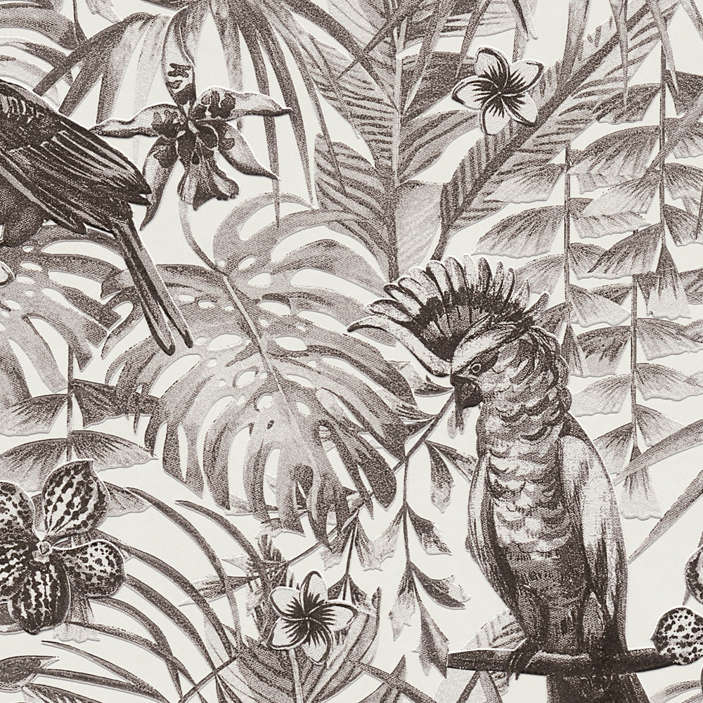             Papier peint exotique oiseaux tropicaux, fleurs et feuilles - noir, blanc, gris
        