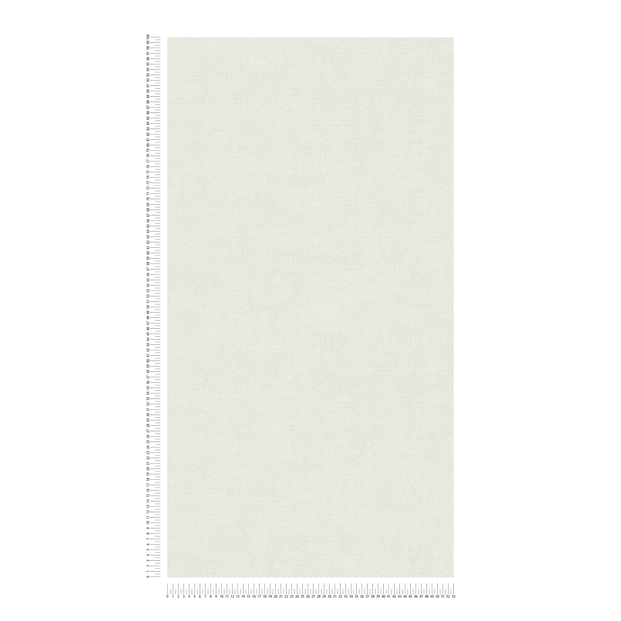             Papier peint intissé à motif finement structuré - gris, blanc
        