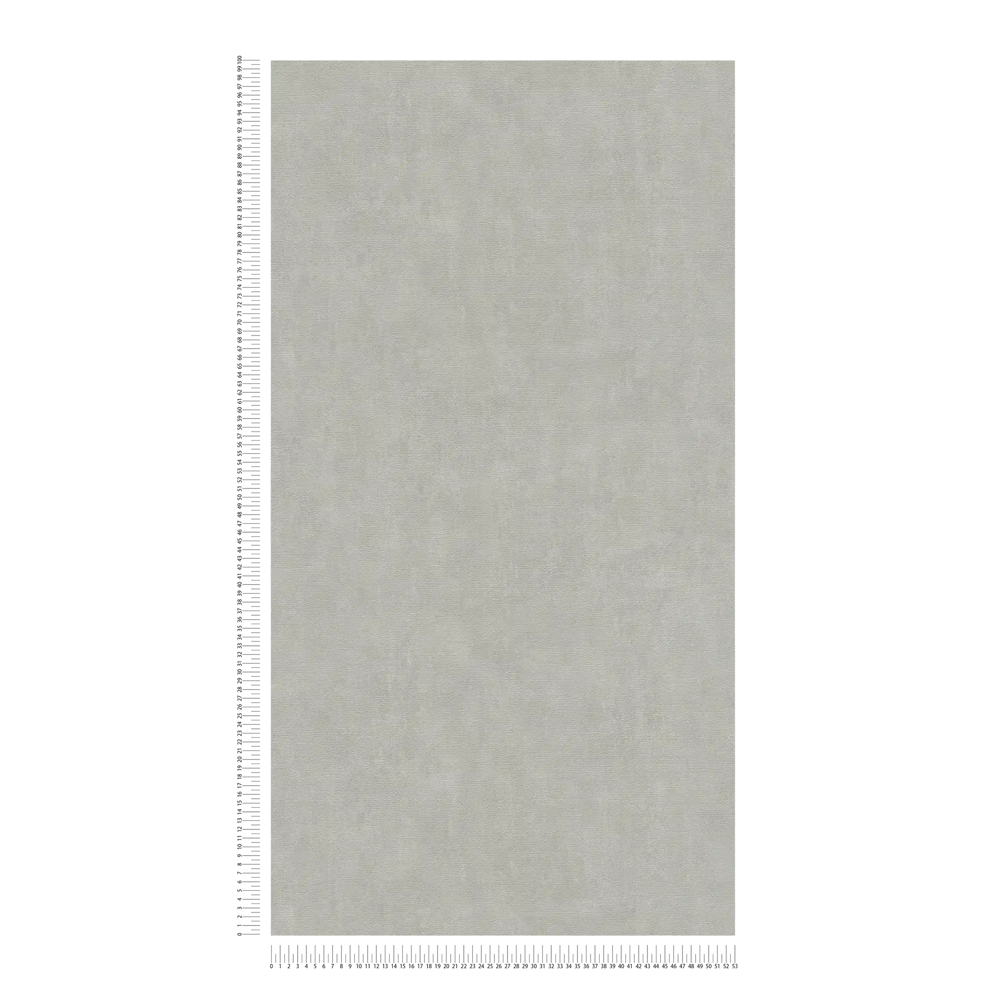             Papier peint gris beige avec aspect crépi style vintage
        