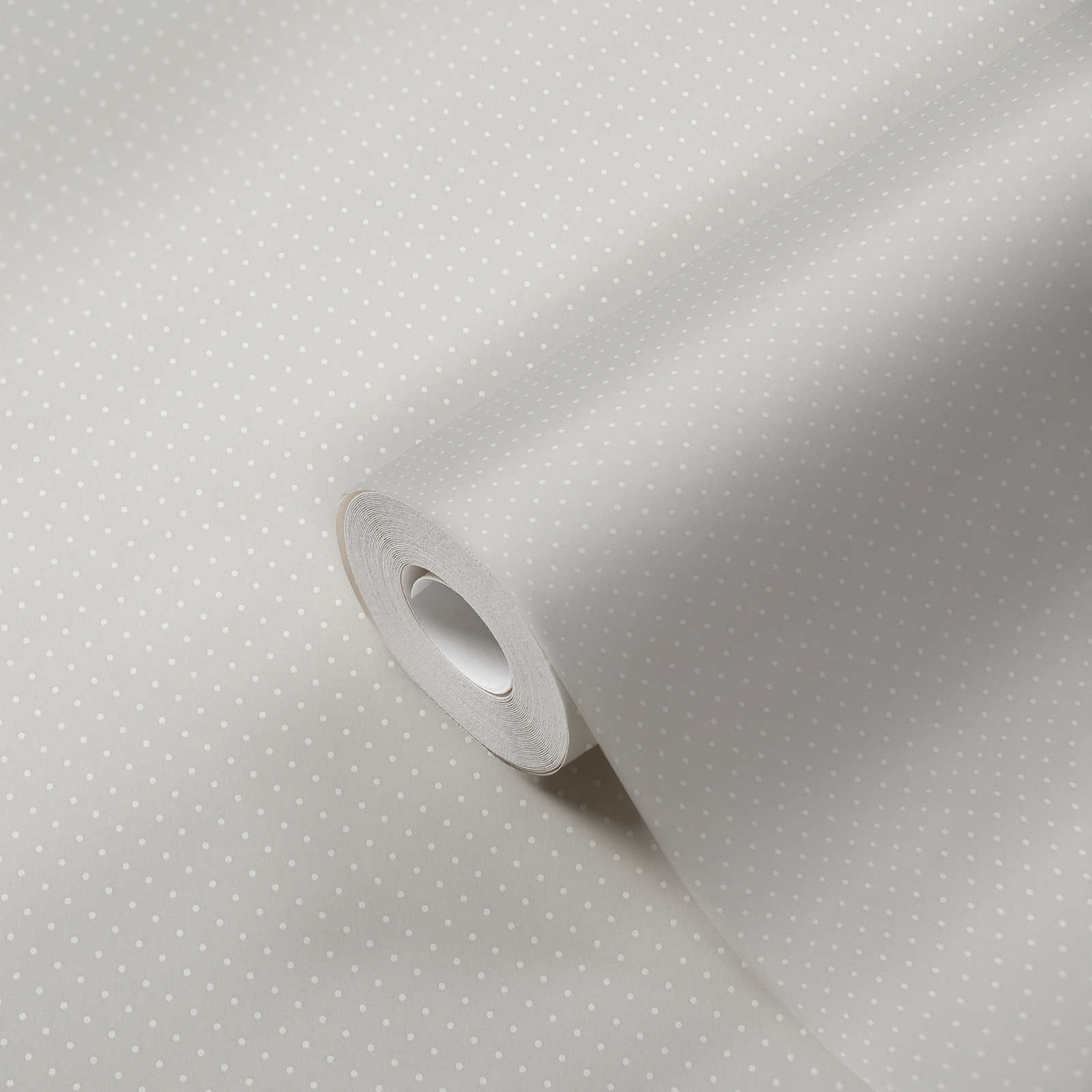             Carta da parati in tessuto non tessuto con motivo a piccoli punti - grigio, bianco
        