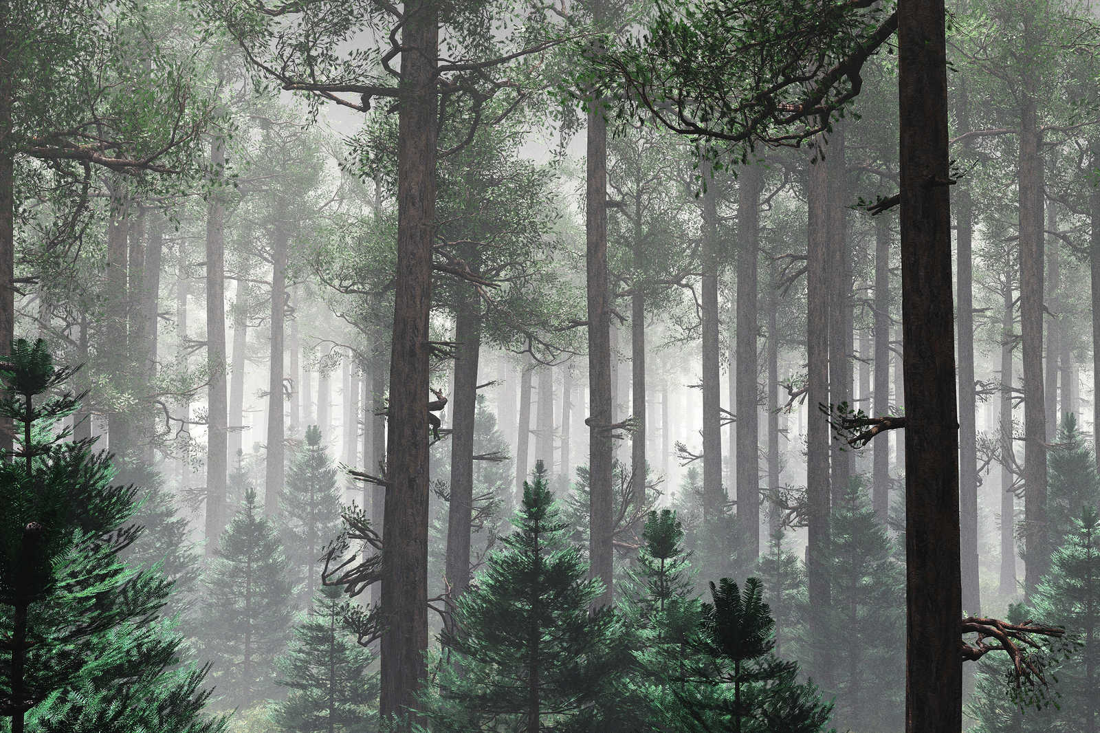             Canvas schilderij Bos in de mist met grote bomen - 0,90 m x 0,60 m
        