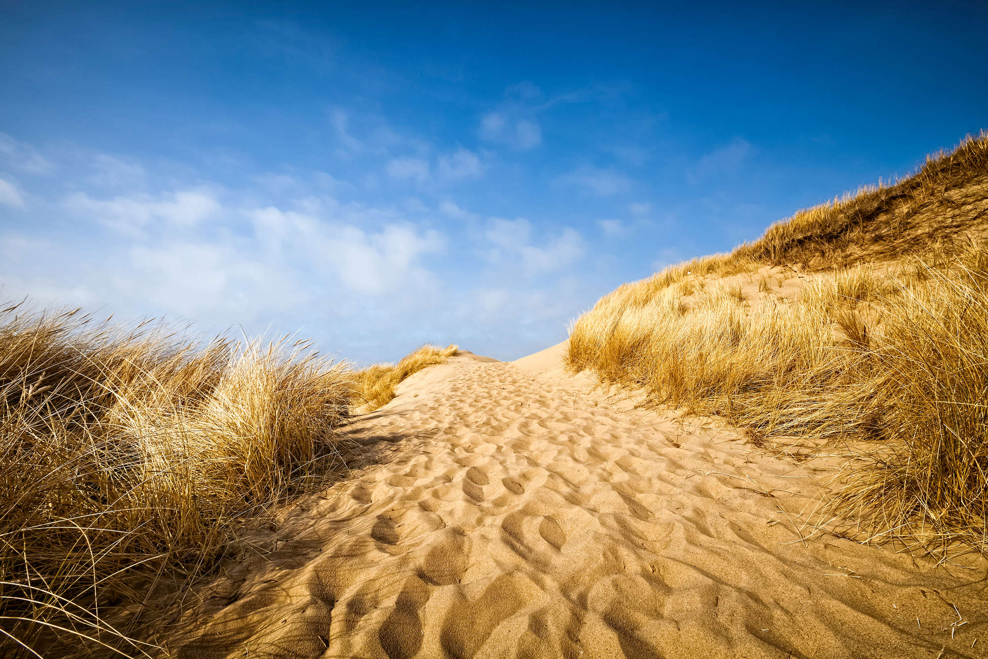             Fotomurali da spiaggia con motivo di dune su tessuto non tessuto testurizzato
        