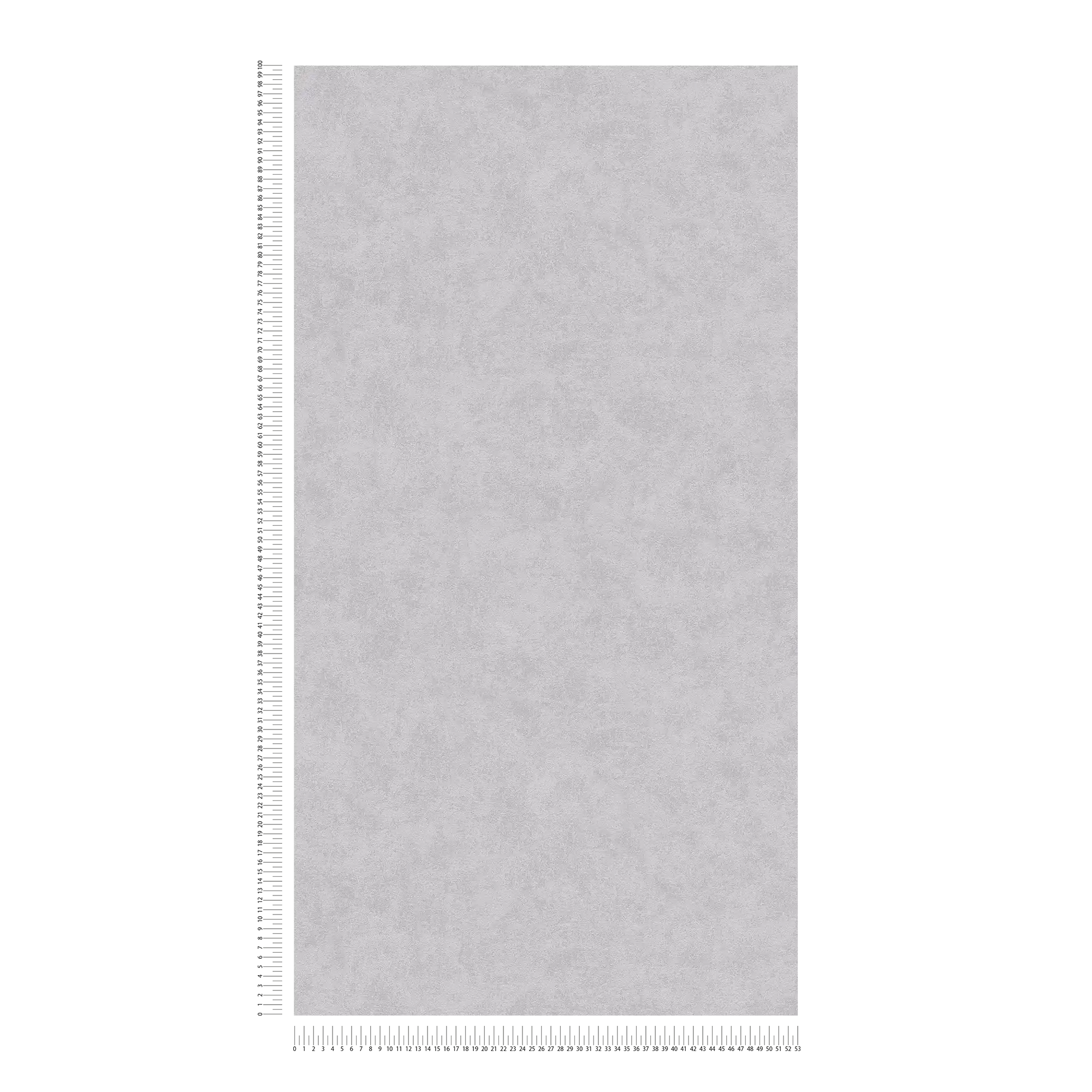            Carta da parati in tessuto non tessuto grigio cemento opaco con struttura in rilievo
        