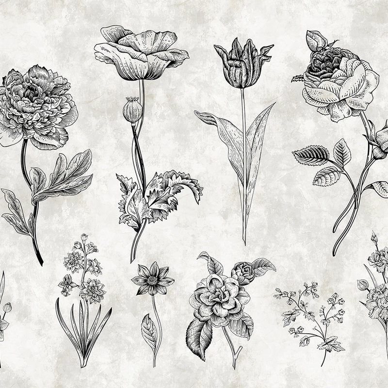 Photo wallpaper flowers in drawing style - white, black
