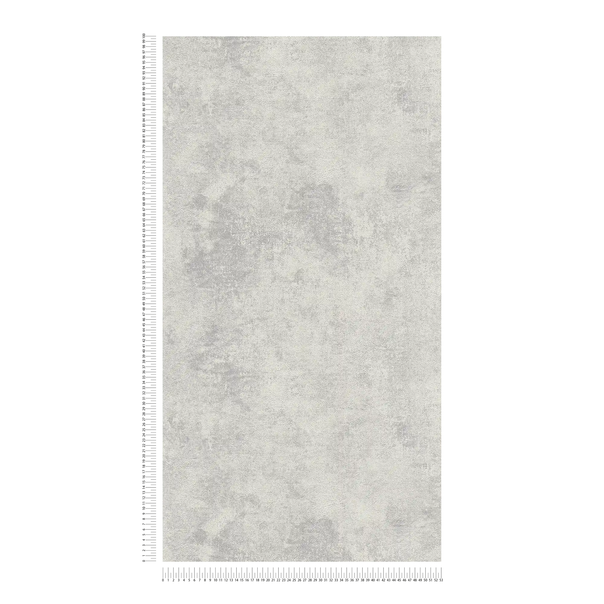             Carte da parati in tessuto non tessuto con aspetto di intonaco a disco e motivo strutturato - grigio, argento
        
