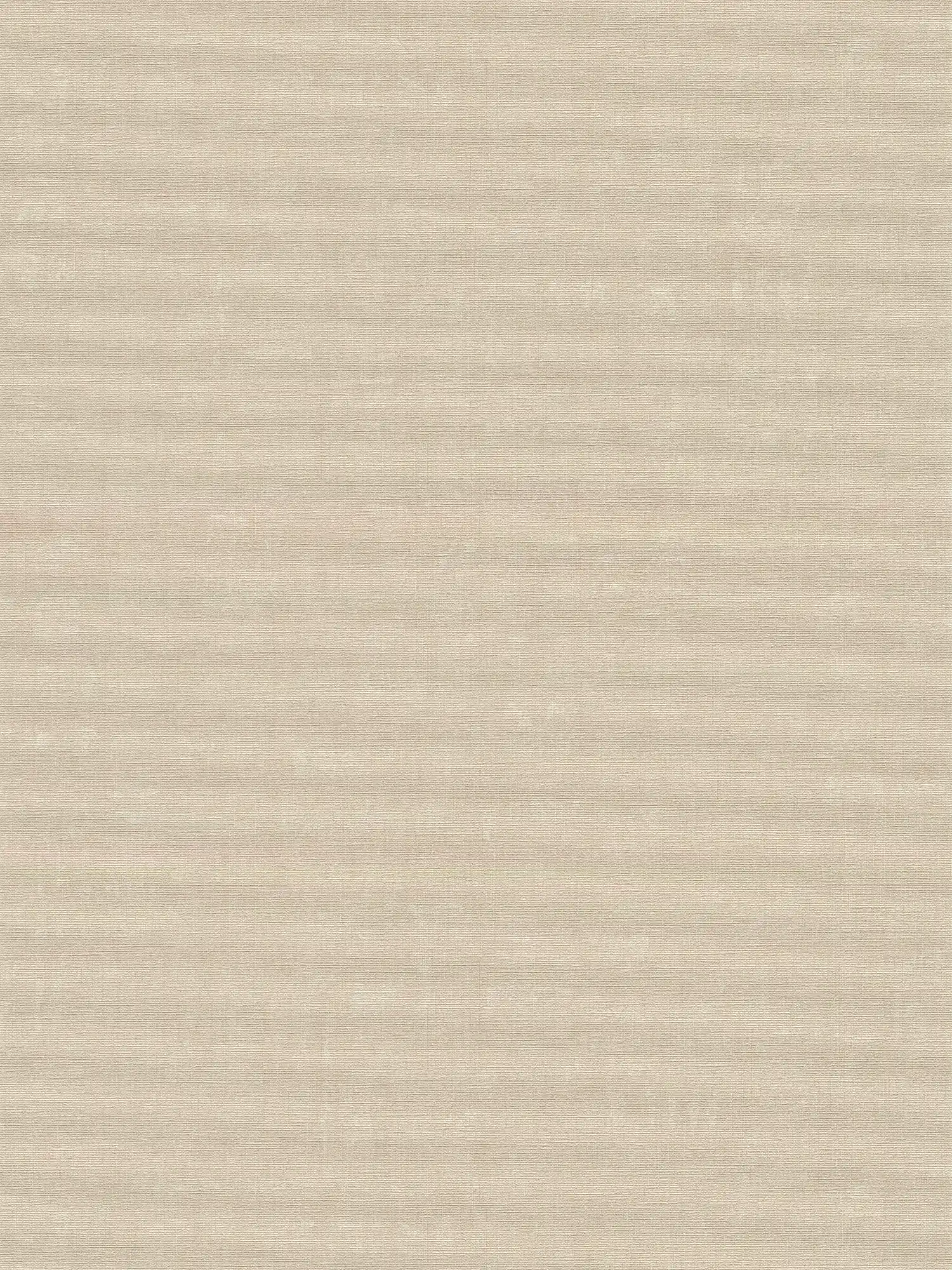 Papier peint chiné uni avec motif à texture - gris, beige
