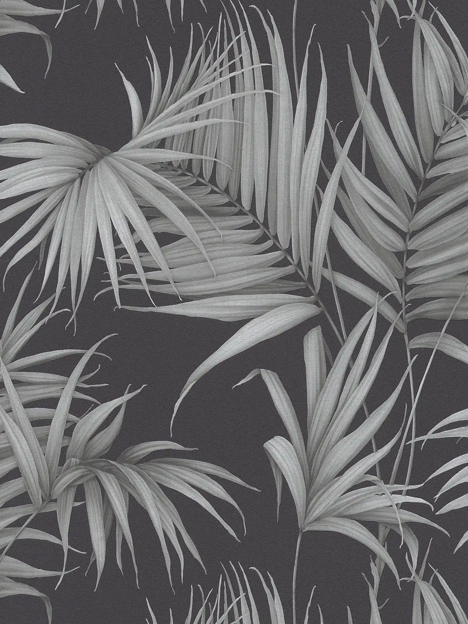 Carta da parati tropicale con foglie di felce - grigio, nero
