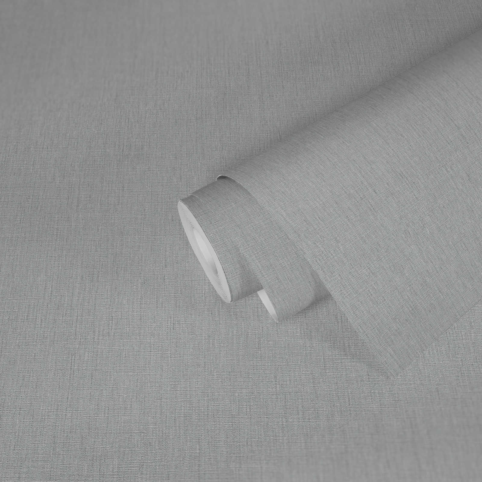            papier peint en papier uni légèrement structuré dans une teinte sobre - gris
        