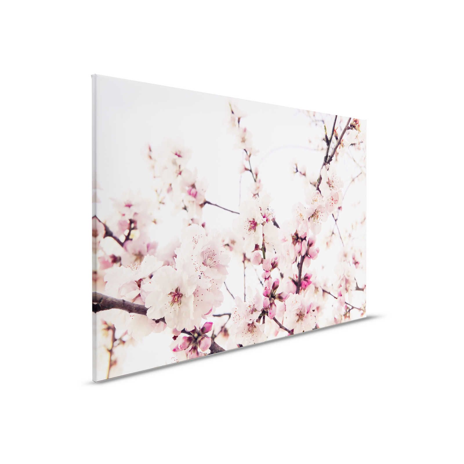 Naturel toile avec des fleurs de cerisier - 0,90 m x 0,60 m

