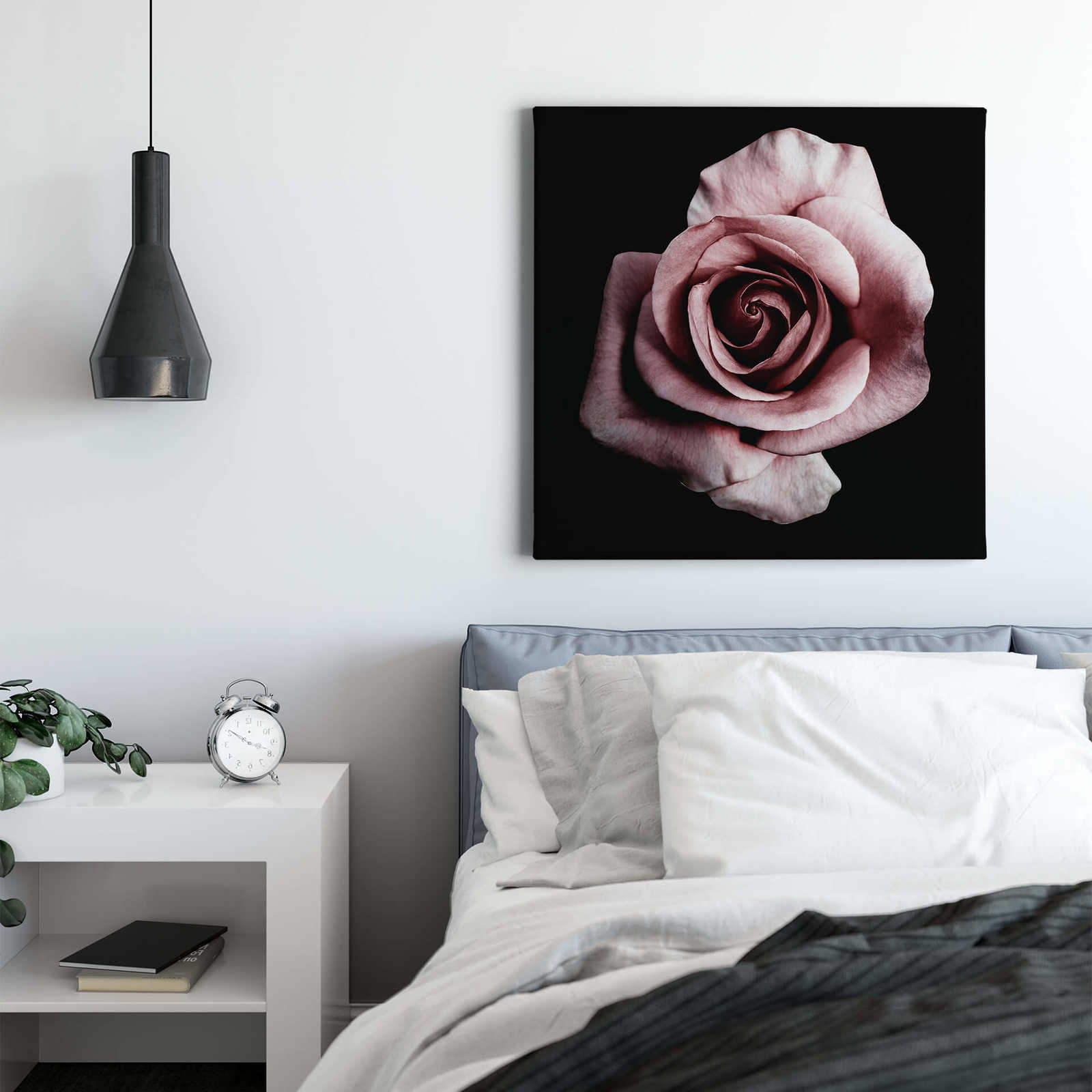             Tableau sur toile Fleur de rose romantique - 0,50 m x 0,50 m
        