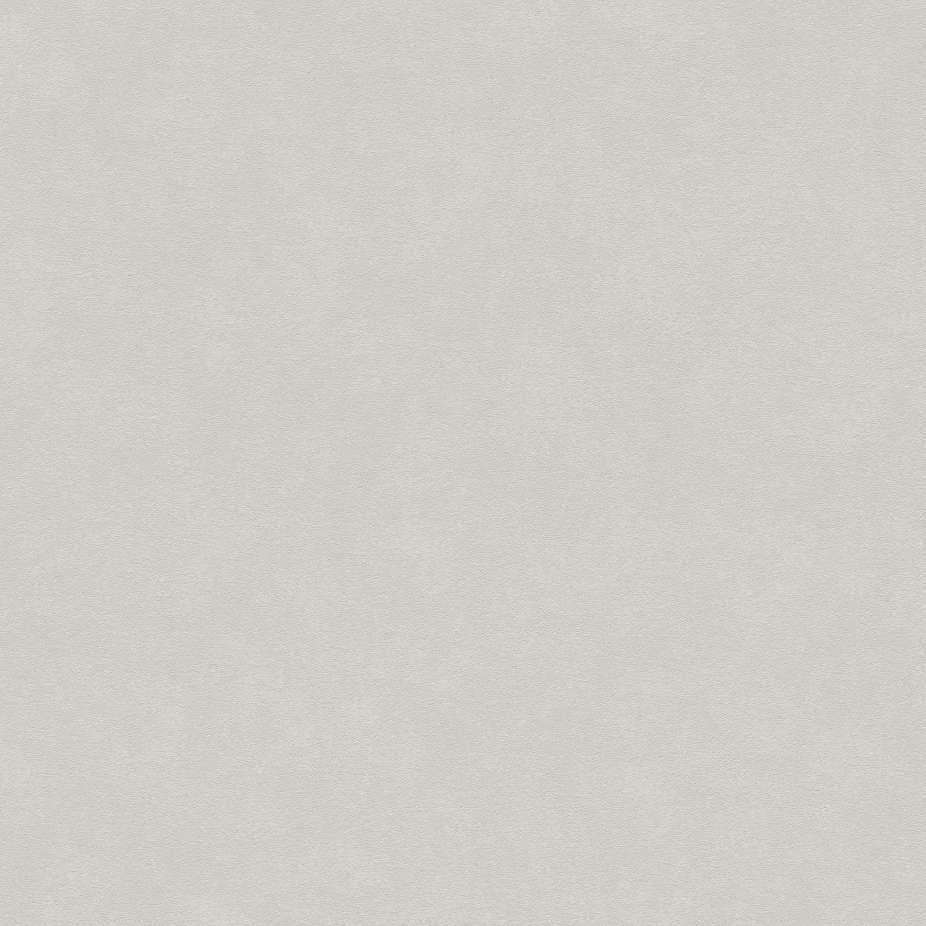 Carta da parati beige grigio chiaro con texture sottile e tratteggi di colore
