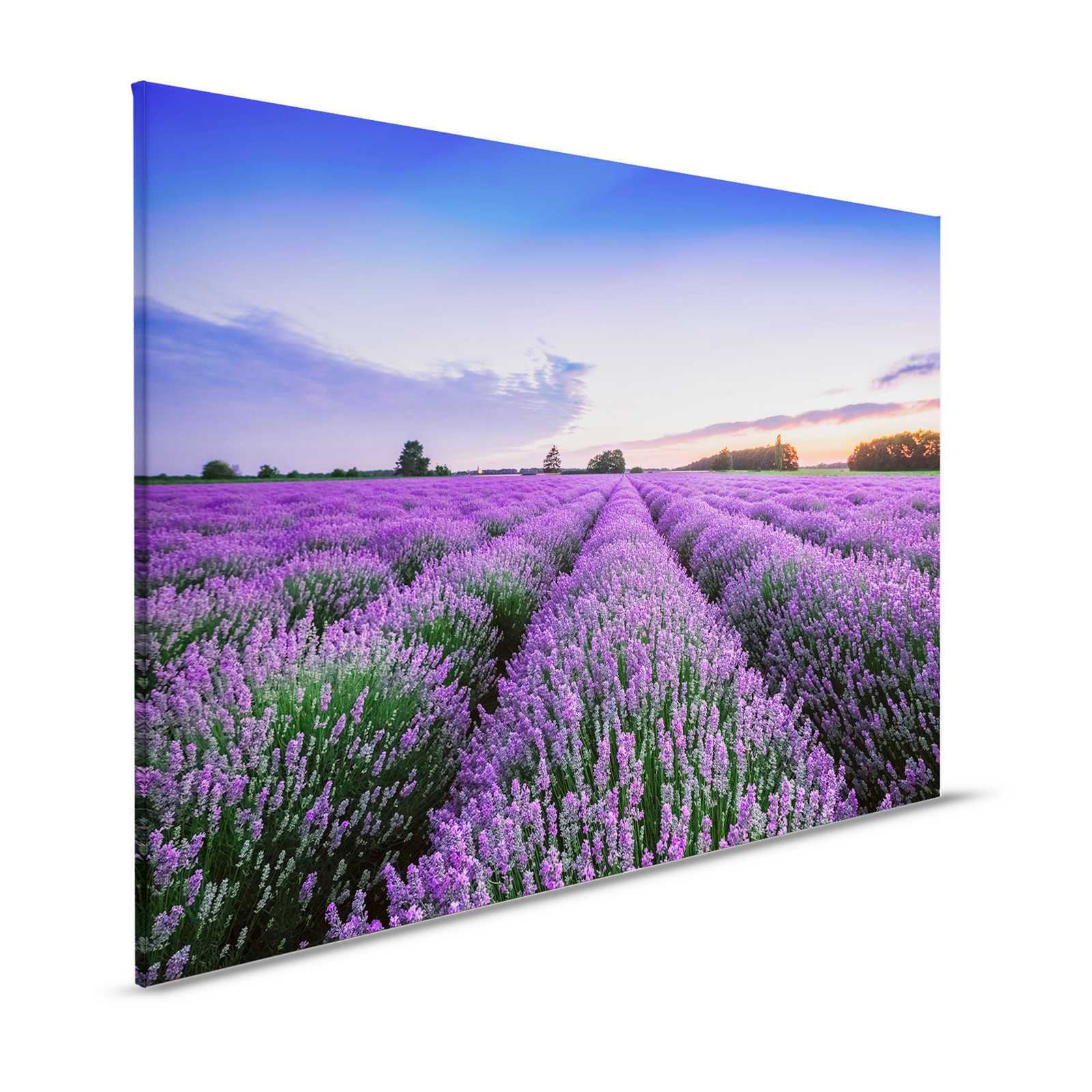             Landschap Canvas Foto met Lavendelveld - 1,20 m x 0,80 m
        