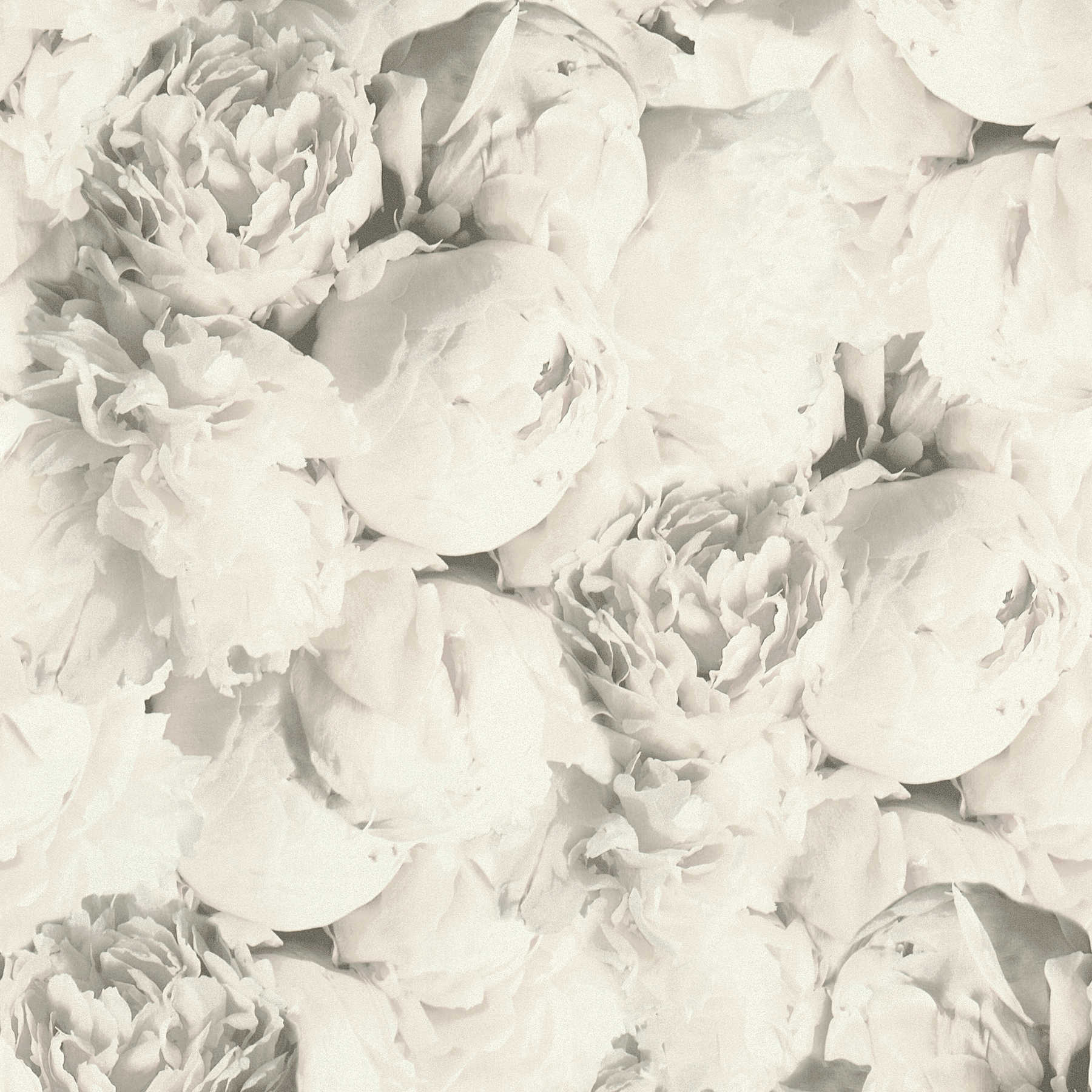 Floral wallpaper roses with shimmer effect - beige, cream, grey
