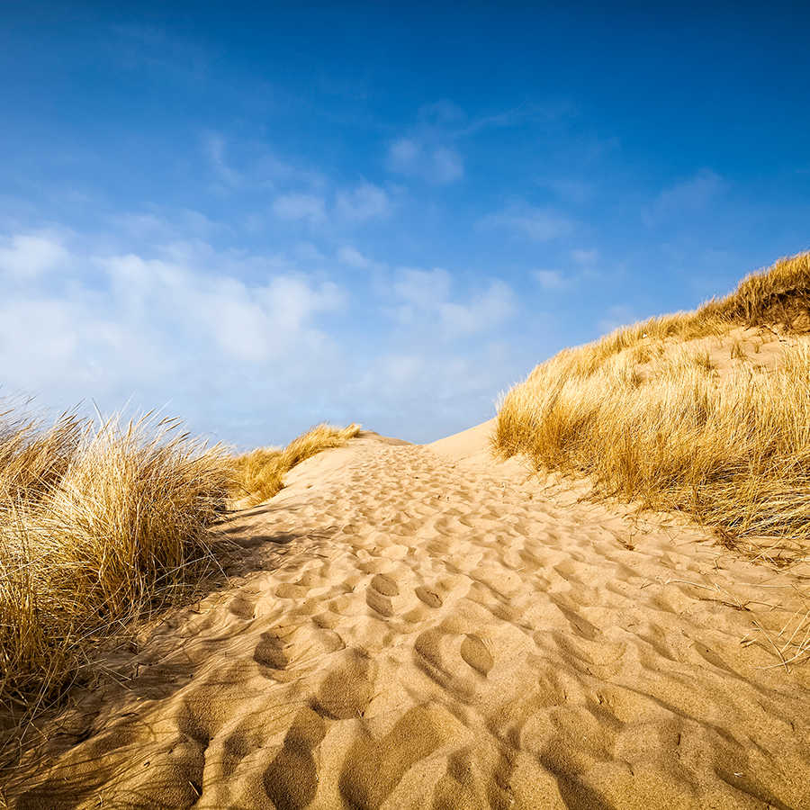 Papier peint plage avec motif de dunes sur intissé lisse nacré
