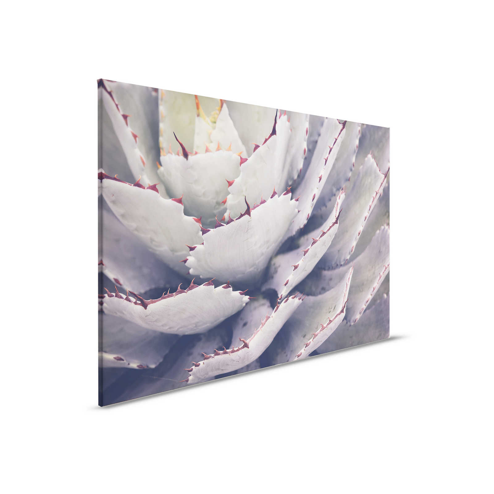 Quadro su tela con primo piano di un cactus - 0,90 m x 0,60 m
