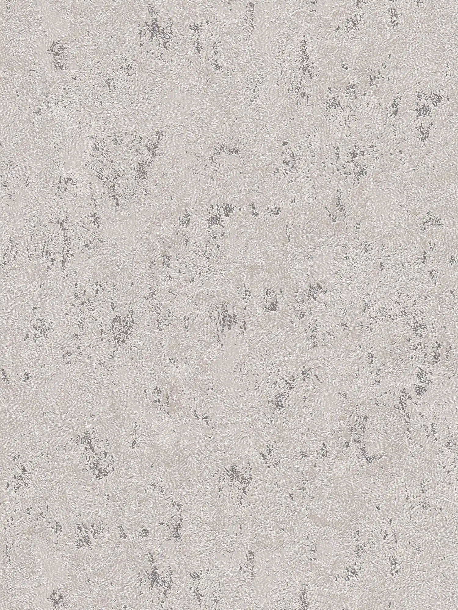 Non-woven wallpaper in a coarse plaster look with accents - grey, beige, silver
