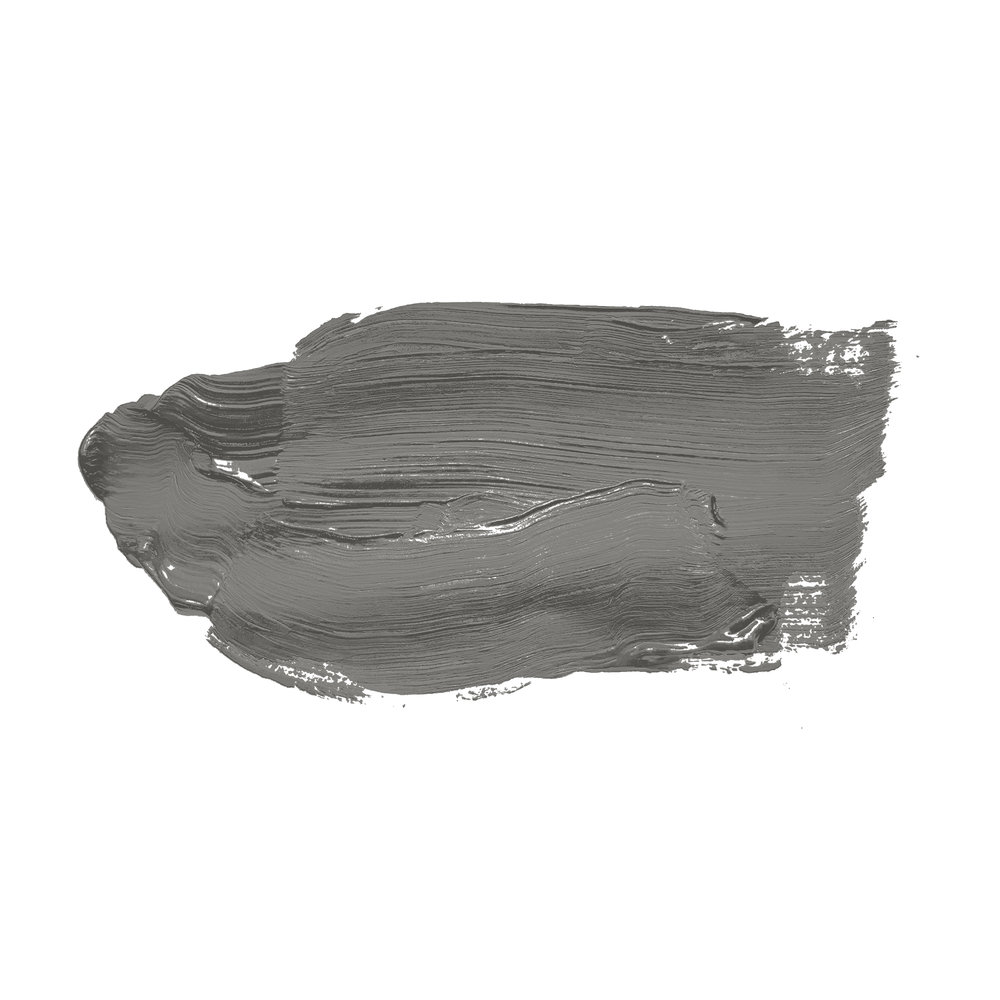             Pittura murale TCK1013 »Poised Pepper« in grigio scuro – 2,5 litri
        