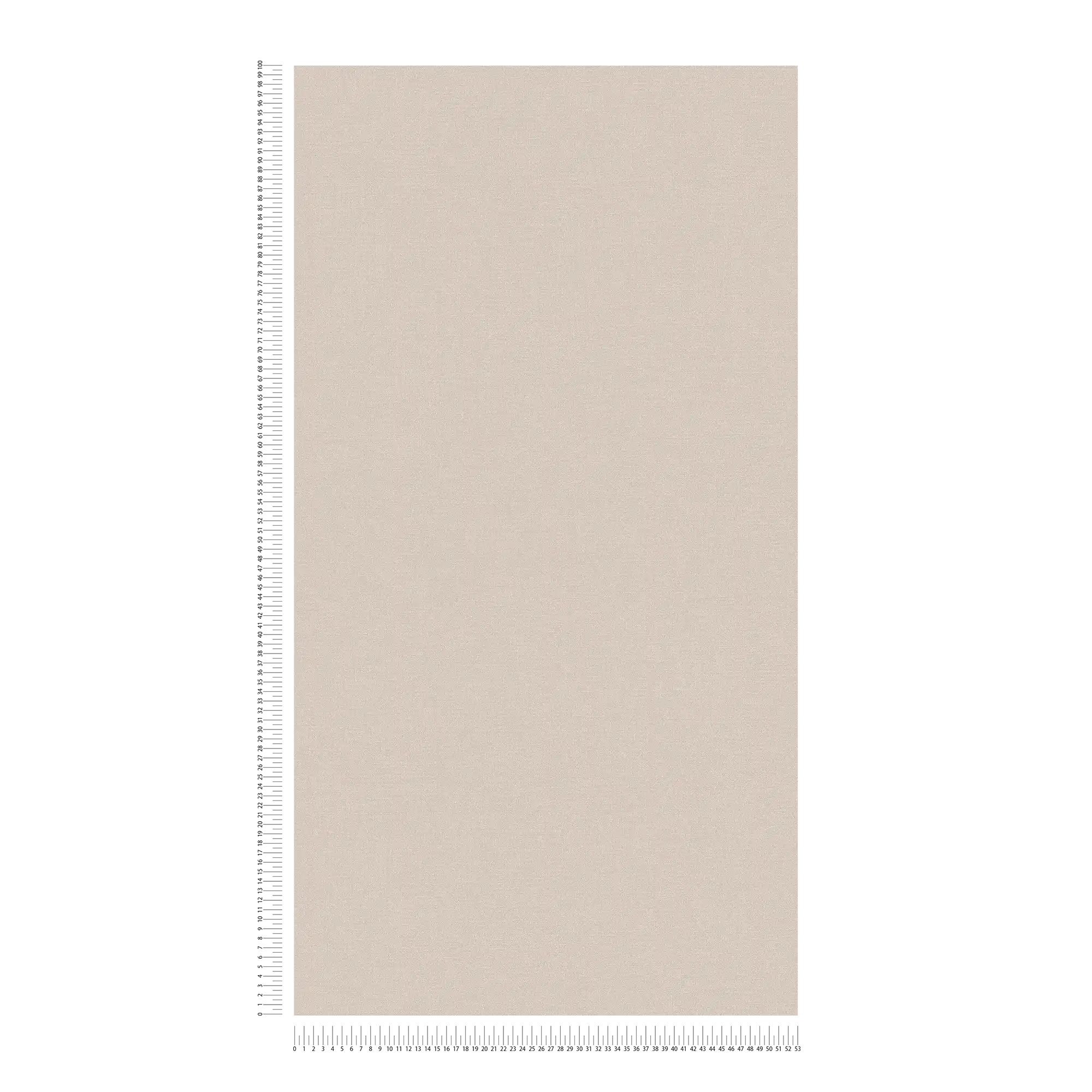             Carta da parati in tessuto non tessuto a tinta unita in colori tenui: grigio, grigio chiaro.
        