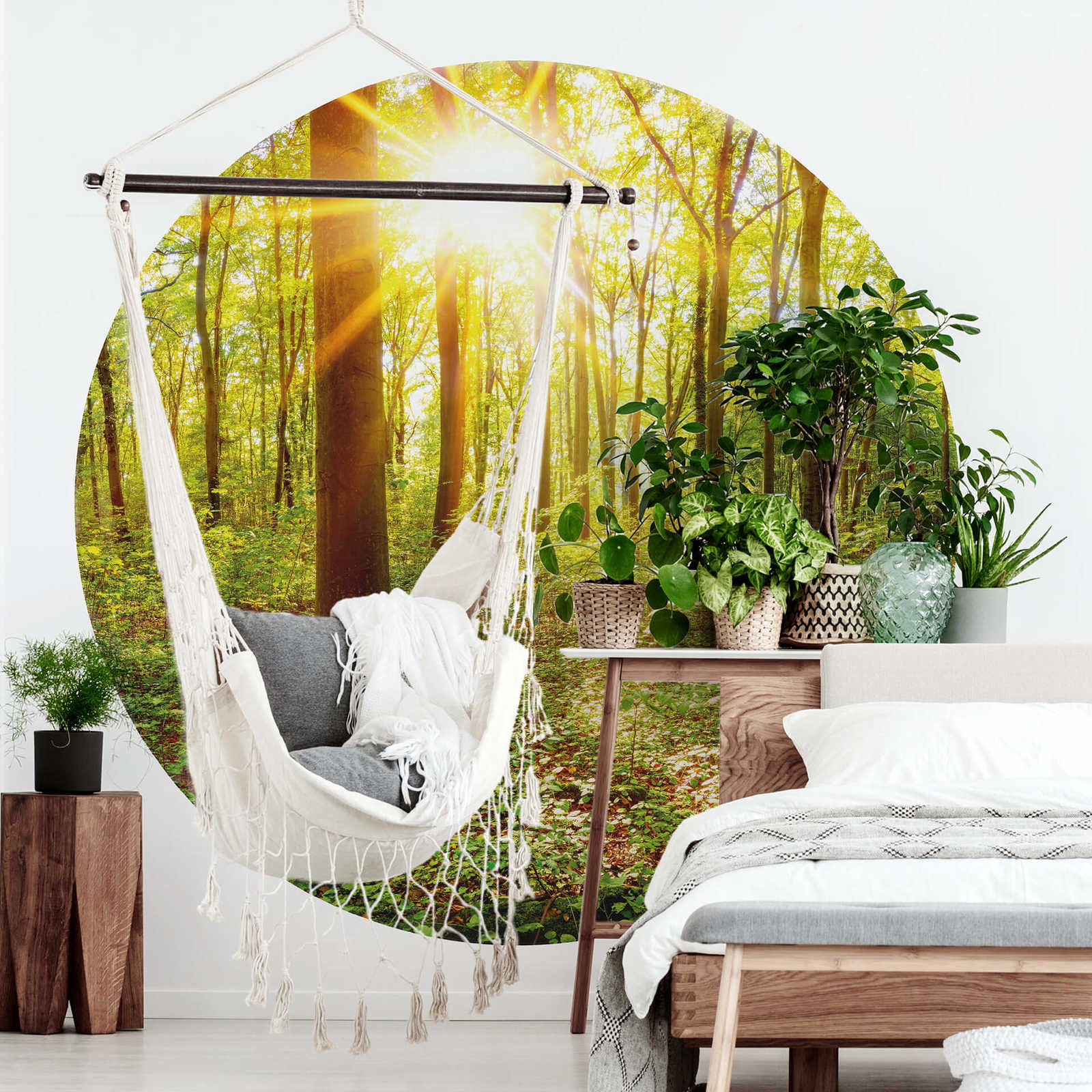             Photo wallpaper round sunny forest - green, brown
        