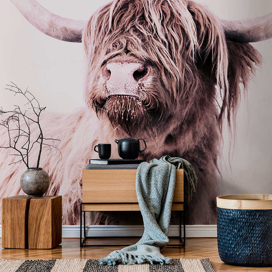         Highland cattle portrait mural in sepia style
    