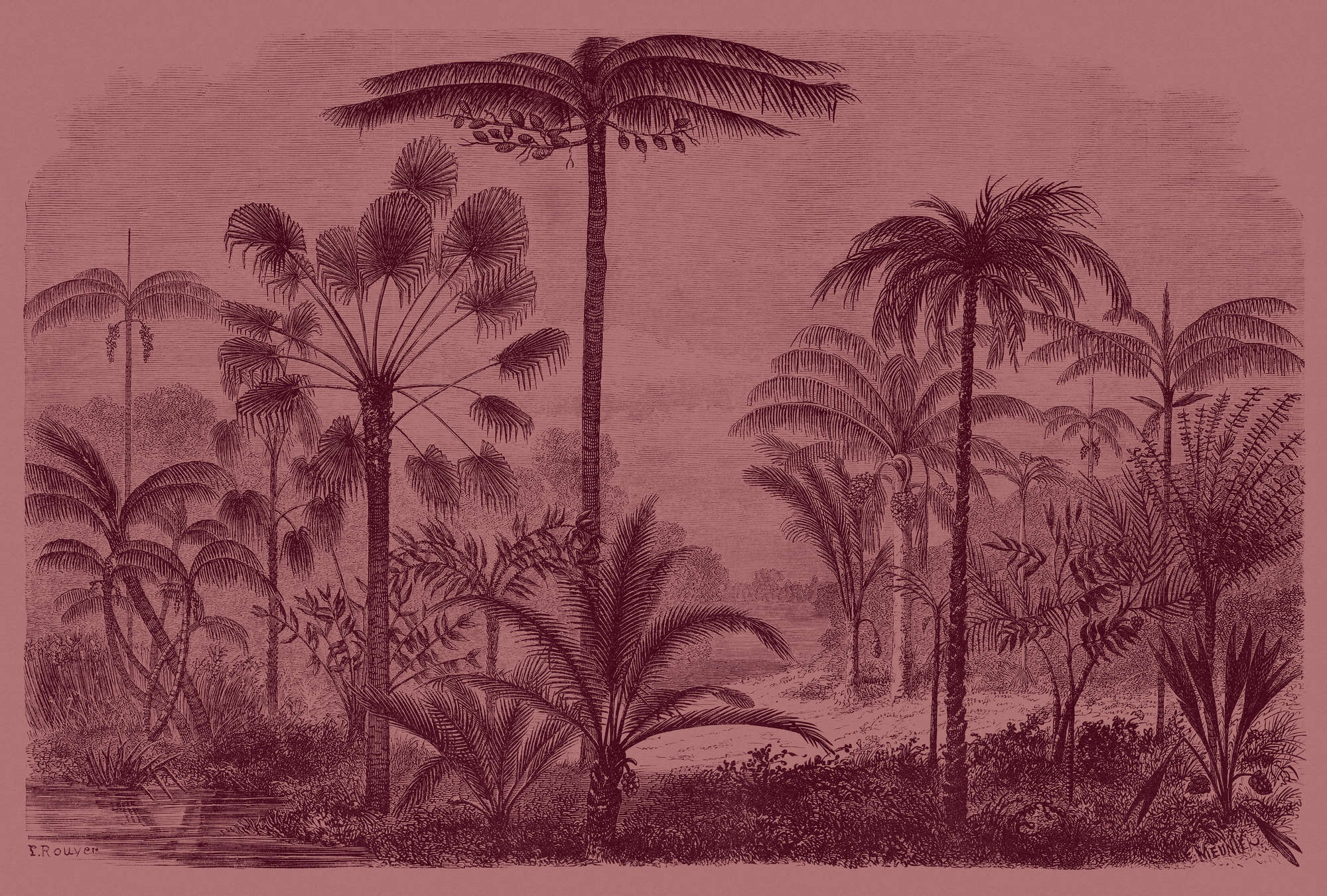             Jurassic 2 - Papel pintado en estructura de cartón motivo jungla grabado cobre rojo - rosa, Rojo | nácar liso vellón
        