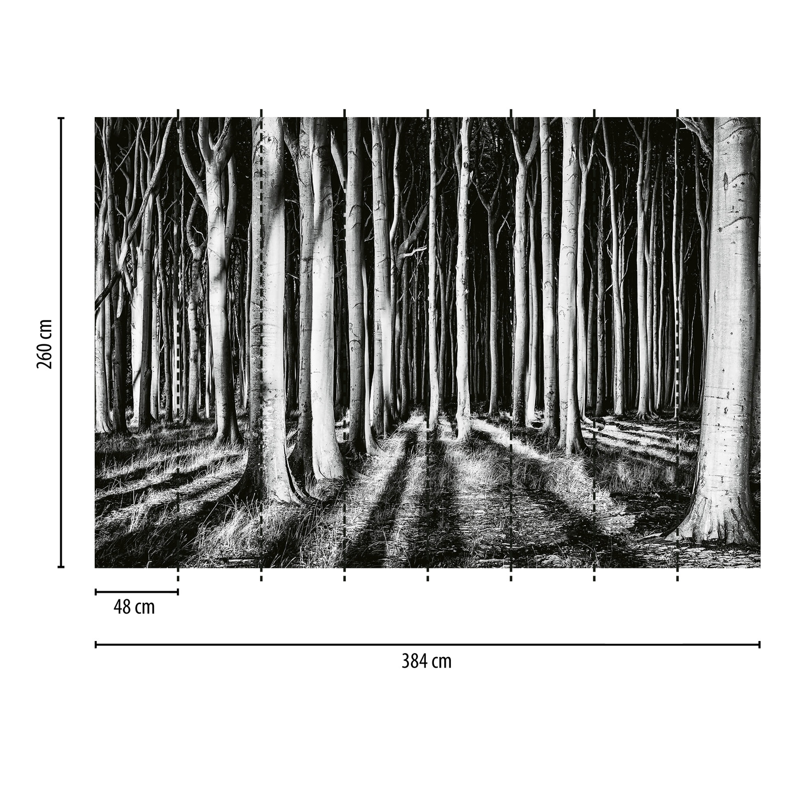             Papel pintado Nature Ghost Forest - Negro, blanco, gris
        
