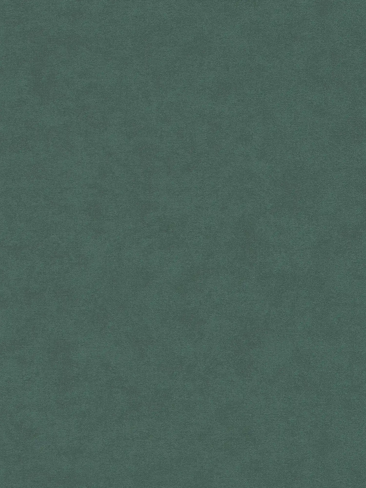 Non-woven wallpaper with a light texture, single-coloured - green
