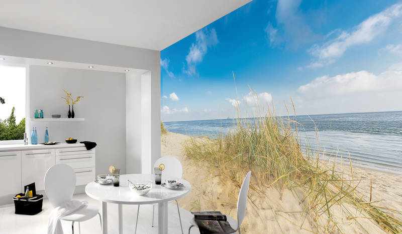             Photo wallpaper coastal landscape with dune beach
        