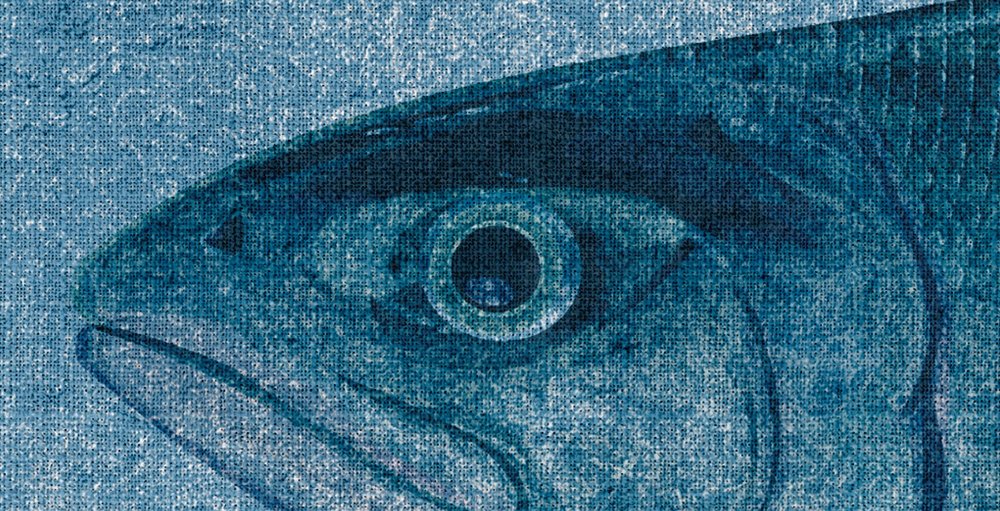             Into the blue 1 - Fish watercolour in blue as a photo wallpaper in natural linen structure - Blue, Grey | Structure non-woven
        