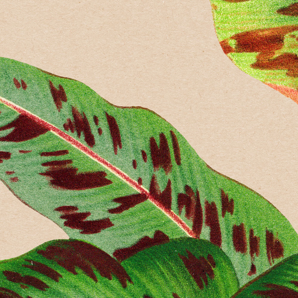             Leaf Garden 4 - Carta da parati con foglie verdi e piante tropicali
        