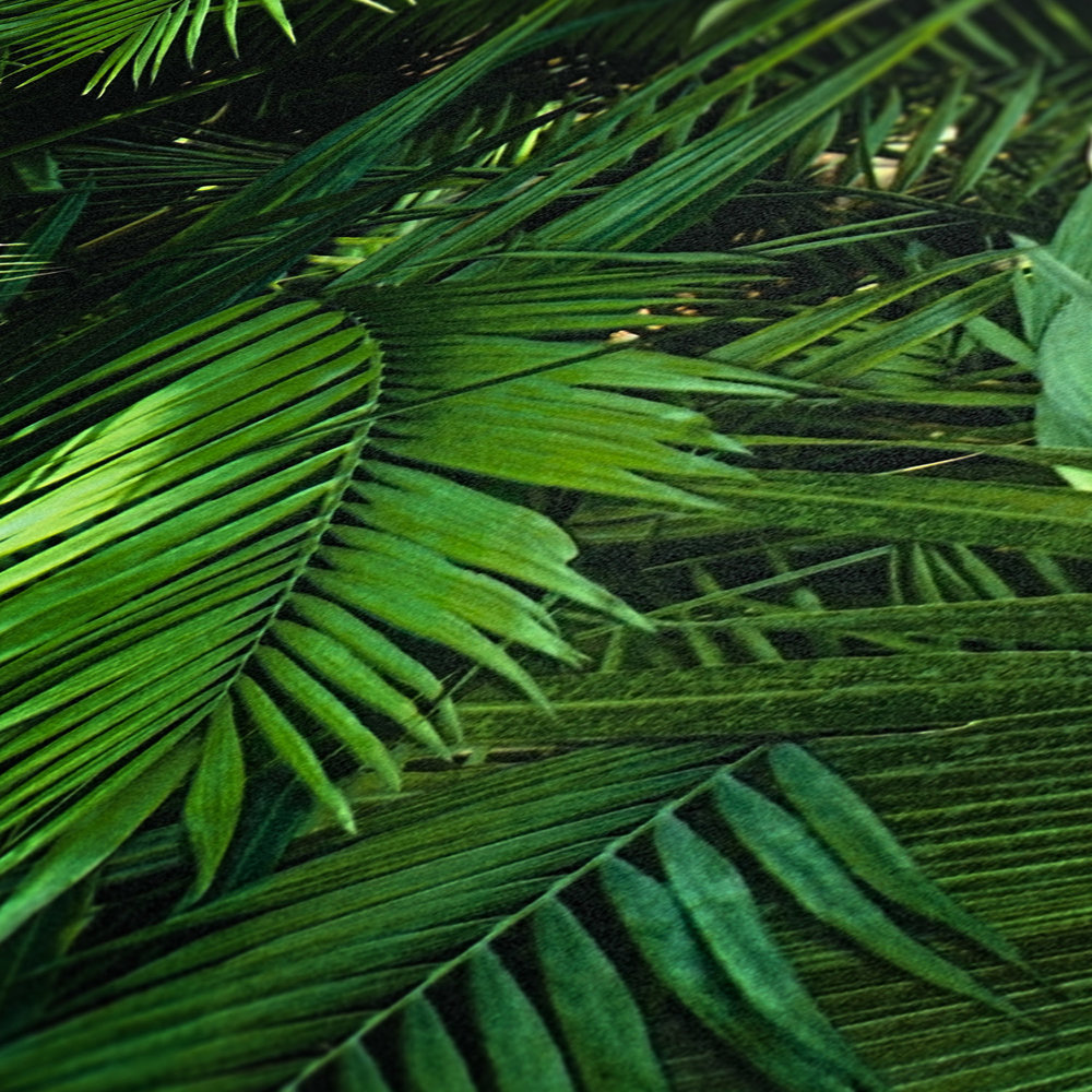             Motif de feuilles au look jungle, aspect fougère - aspect fougère
        