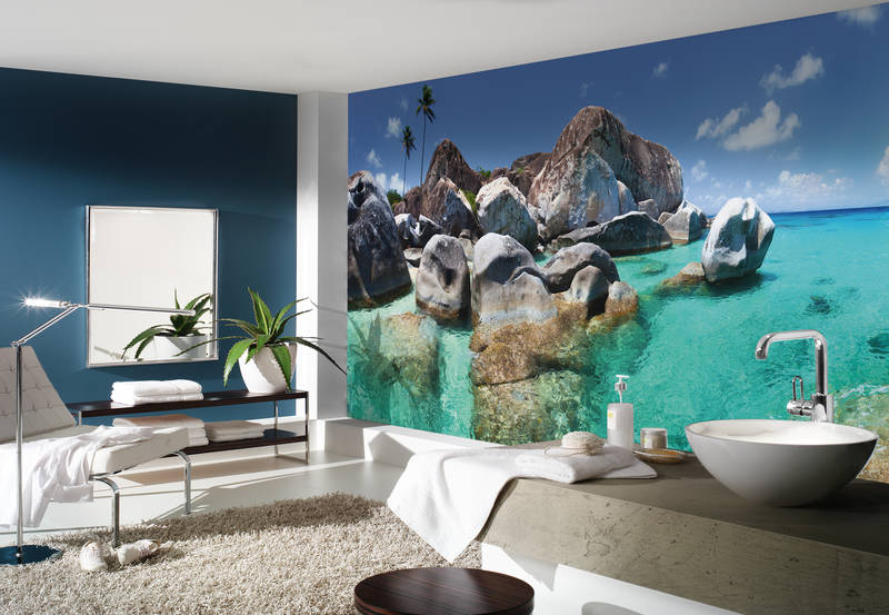             Seychelles turquoise water, rocks & palm trees mural
        