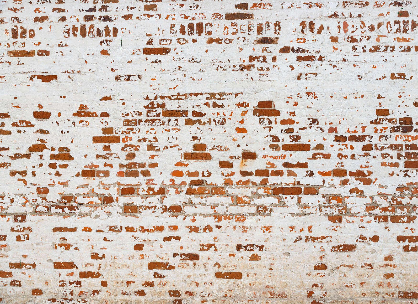             Papier peint panoramique Mur de briques avec effet 3D - blanc, brun, rouge
        
