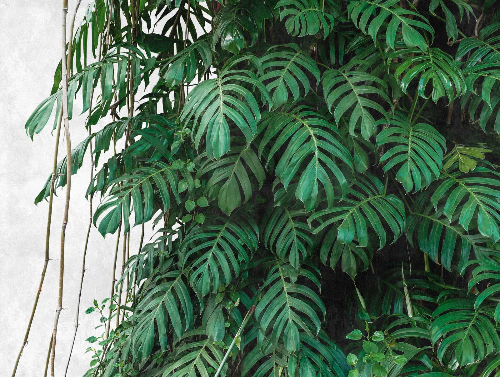             Behang-Nieuw Monstera behang 3D motief jungle groen
        