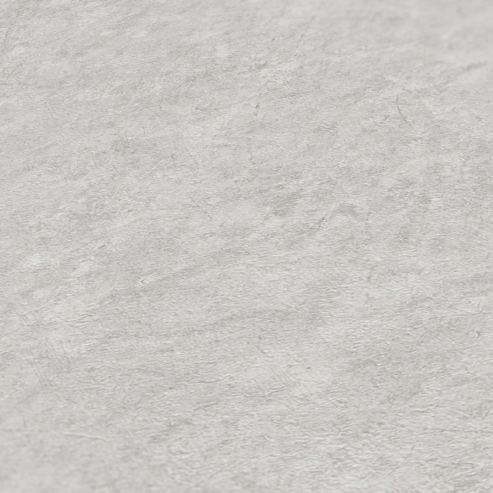             Papel pintado tejido-no tejido con aspecto de hormigón - gris
        