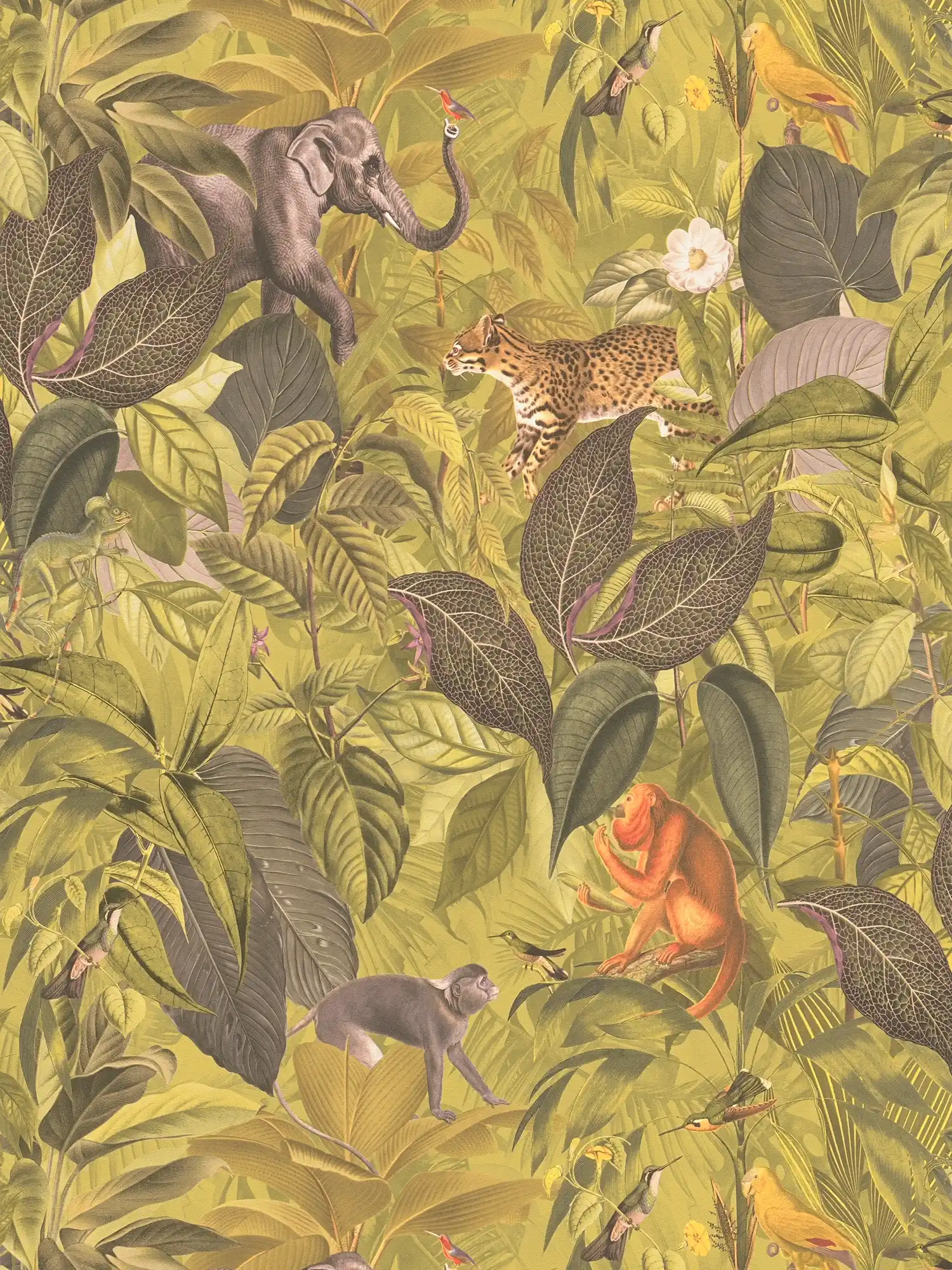 Papier peint jungle avec animaux, motif enfant - marron, vert
