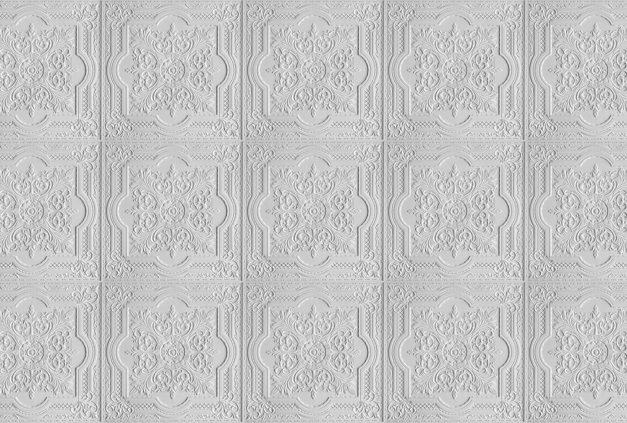             Photo wallpaper ceiling with print pattern - white
        