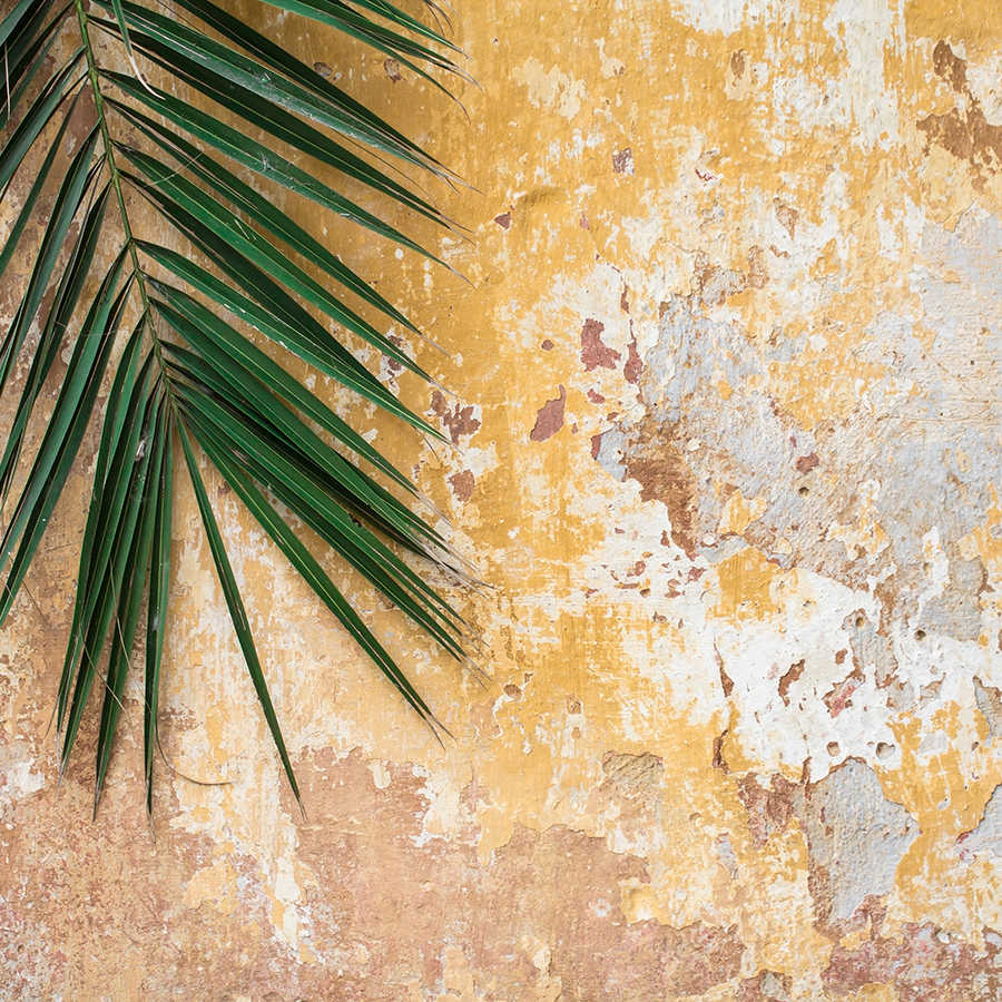 Papier peint nature Feuille de palmier devant un mur de pierres sur intissé lisse mat

