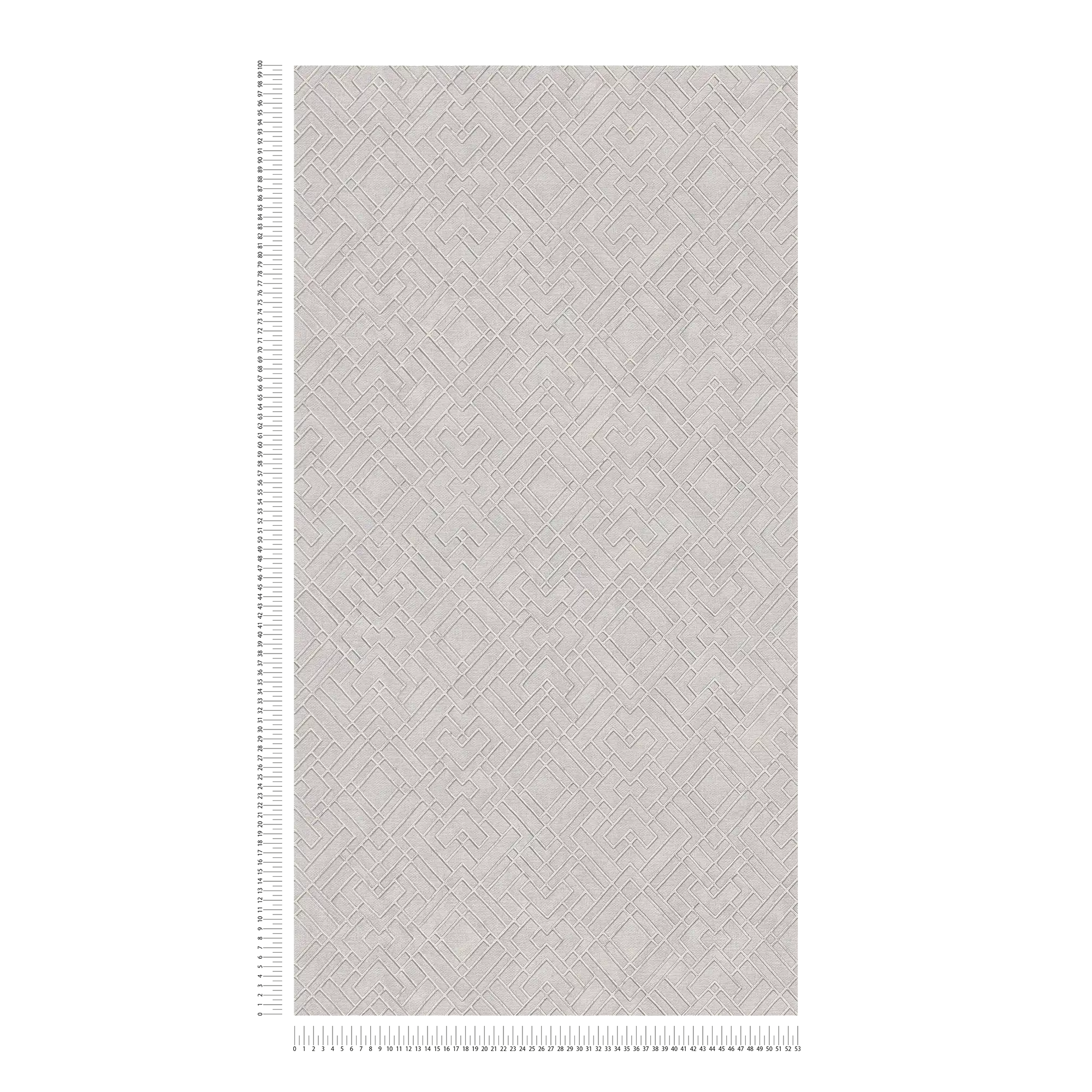             Carta da parati argentata con grafica a linee metalliche - grigio
        