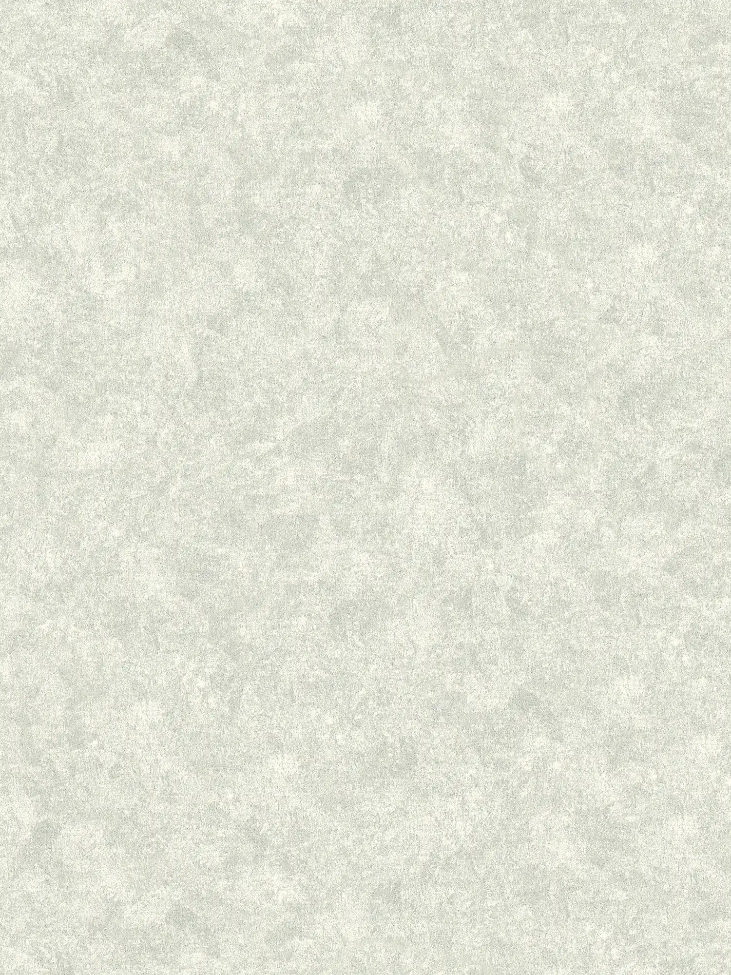 Plain wallpaper with mottled structure look - grey
