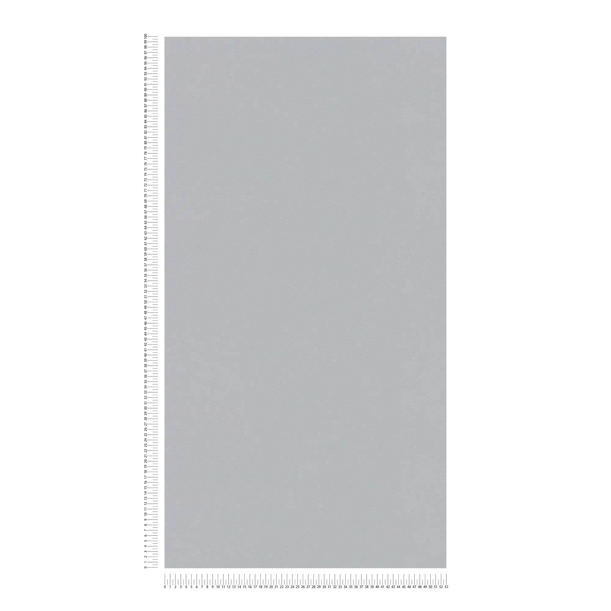             Carta da parati liscia grigio seta opaca con struttura in rilievo
        