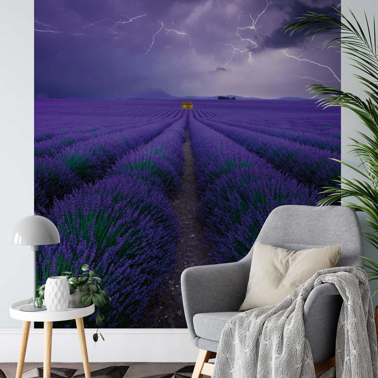             Papier peint panoramique champ de lavande - violet, vert, marron
        