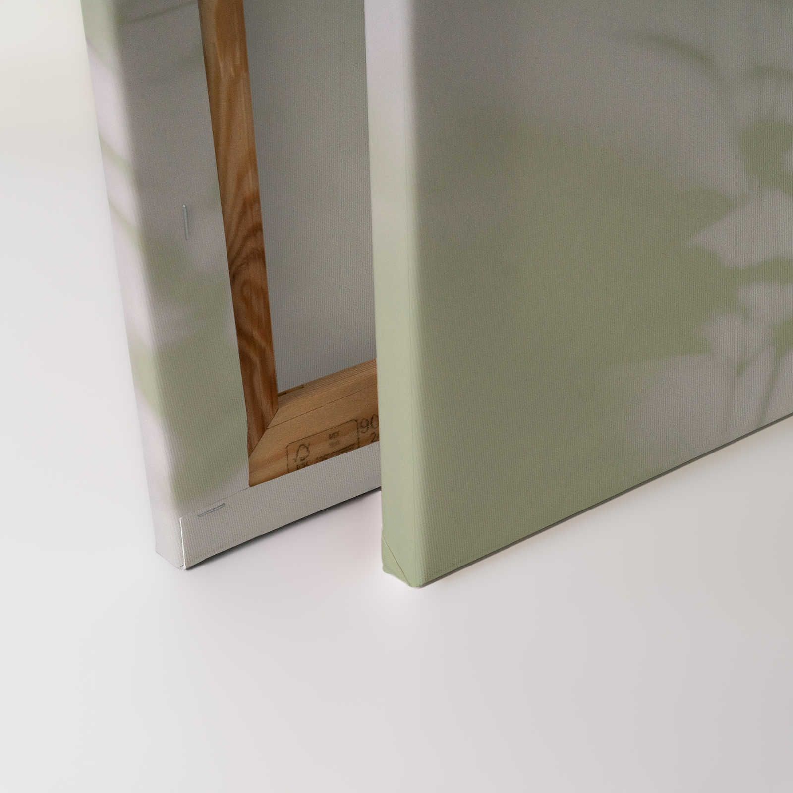             Shadow Room 3 - Lienzo Naturaleza Verde y Blanco, Diseño Desvanecido - 0.90 m x 0.60 m
        